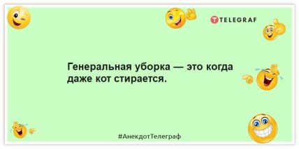 Прикол про кота