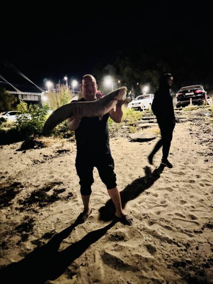 Сома впіймали у Дніпрі