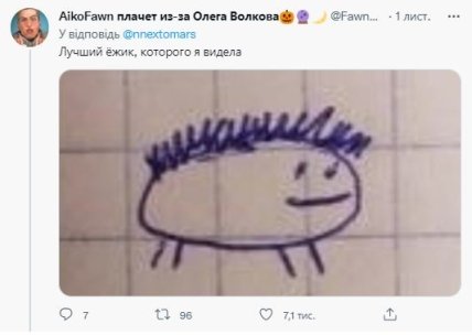 Реакция соцсетей на инициативу тюменской учительницы