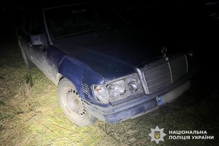 Авто, яке збило оленя Бориса