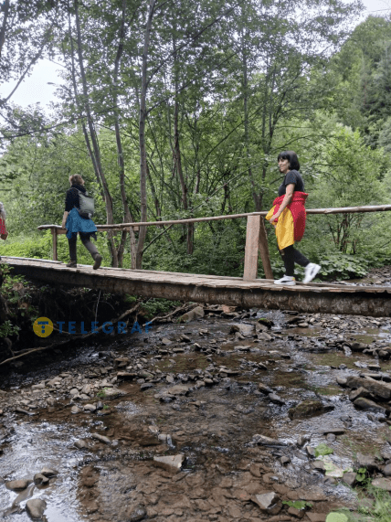 Мостик через поток в Сколевских Бескидах