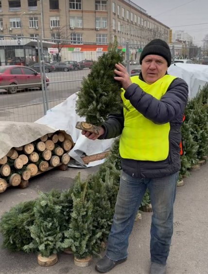 Сборная елка