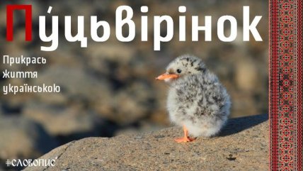 Путиверинок – что оно означает