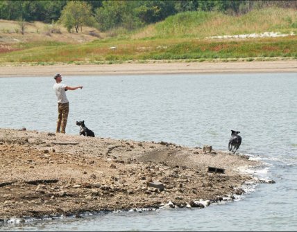 Старокримське водосховище у 2022