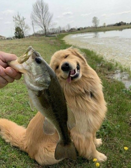 День рыбака приколы