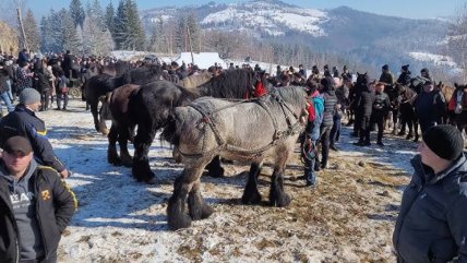 "Фестиваль бутинарів" на Косівщині