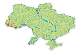 Де можна зустріти рись