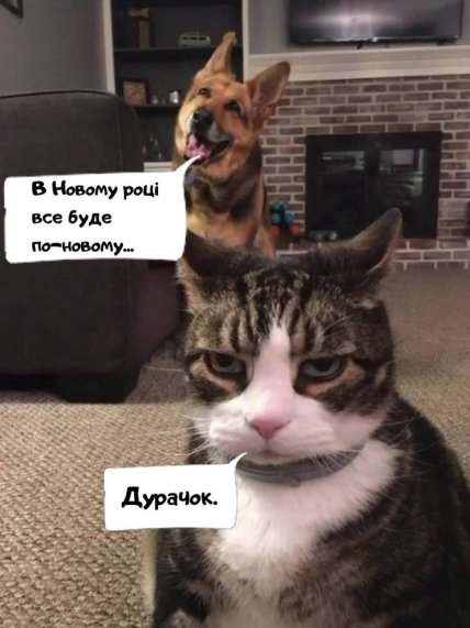 Мем з котиком про Новий рік