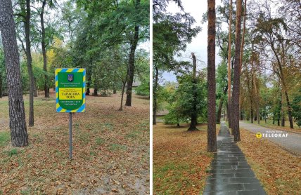 Тарасовая гора в Каневе