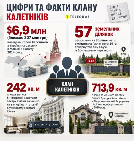Что принадлежит семье Калетников