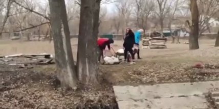 Макеевка_ДТП_3