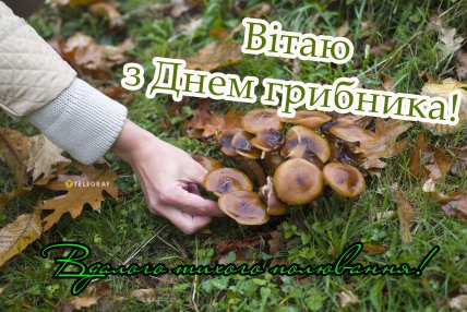 листівка всесвітній день грибника 3 жовтня