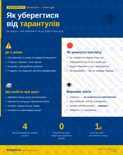 Как уберечься от тарантулов