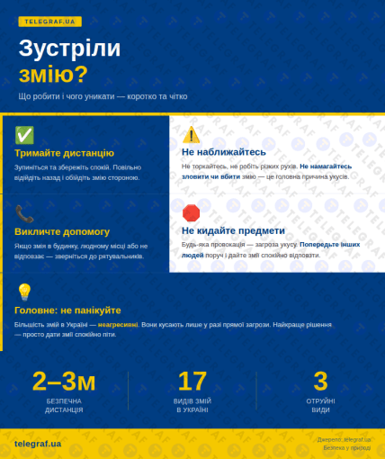 Що робити, якщо ви зустріли змію