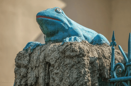 "Дом с лягушками"