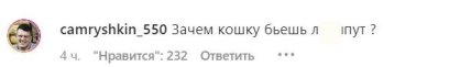 В сети раскритиковали Хасбика за насилие над котом