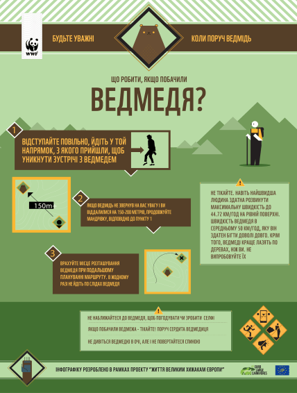 Що робити, якщо побачили ведмедя