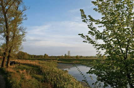 Озеро Гнилуша в 2017 году