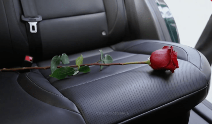 Холостяк, церемония роз