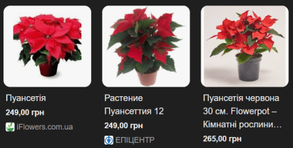 Цена пуансентий в магазинах онлайн