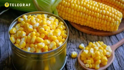 Не всі консерви однаково якісні і смачні (фото створене з допомогою ШІ)