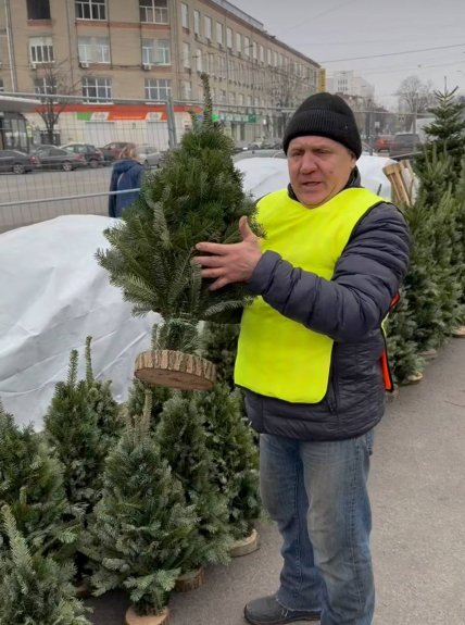 Сборная елка