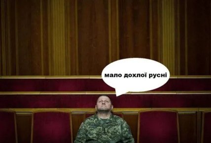 валерий залужный