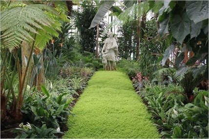 Туристы в Брюсселе