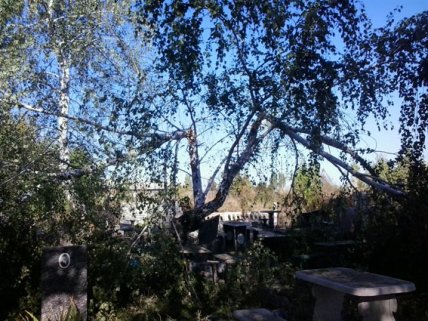 В зоне АТО боевики обстреляли Авдеевку