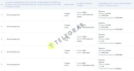 Декларація Ярослава Купчик