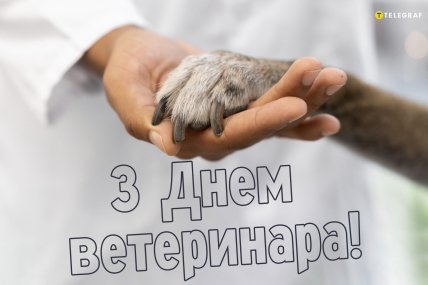 день ветеринара привітання листівки і картинки