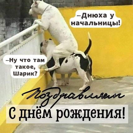 Ржачное поздравление начальнице в картинках