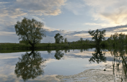 Троещина, озеро Гнилуша