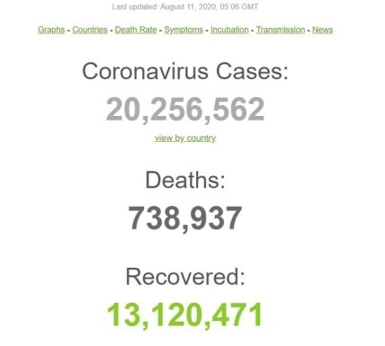 Статистика коронавируса на 11.08.2020