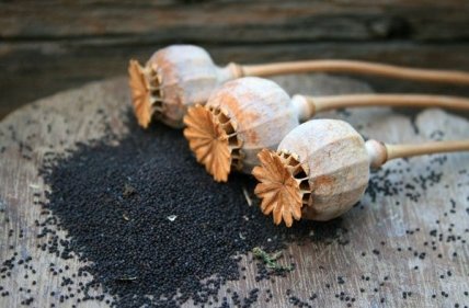 Праздник 16 июля