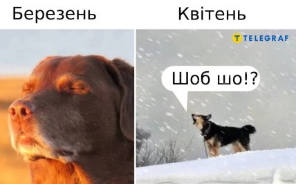 Меми про похолодання на Великдень