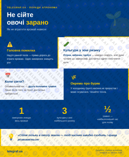 Почему нельзя сеять овощи рано