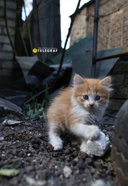 Обстріл Краматорська 12 травня - наслідки влучань