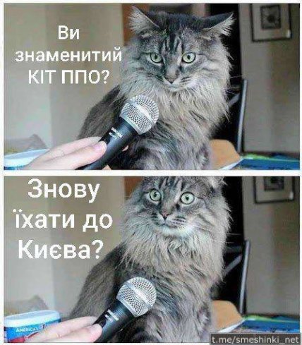 Келлог стал героем мемов