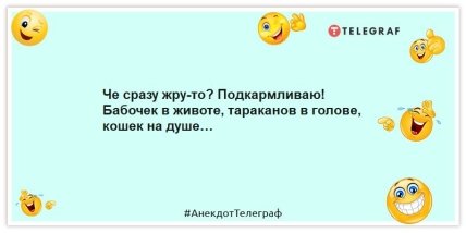 Анекдоты про еду - Че сразу жру-то? Подкармливаю! Бабочек в животе, тараканов в голове, кошек на душе…