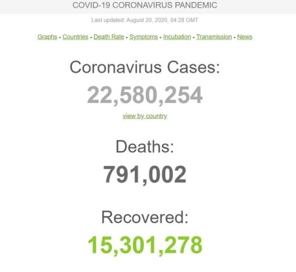 Статистика коронавируса 20 августа