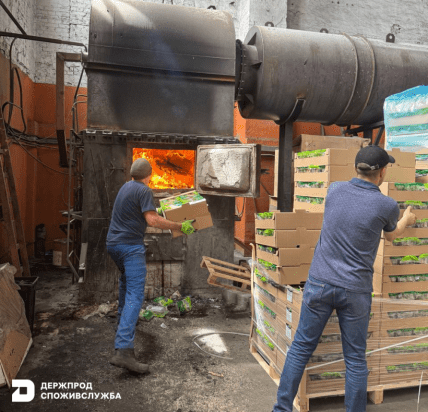 Заражені партії спалили