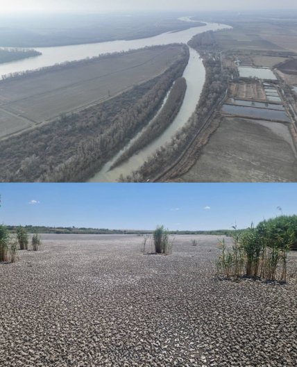 Придунайські озера пересихають