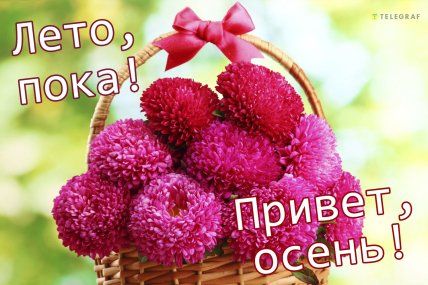 лето пока открытка привет осень