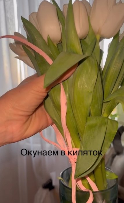 Инструкция по оживлению тюльпанов