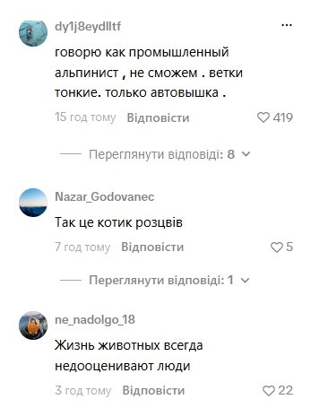 Комментарии пользователей