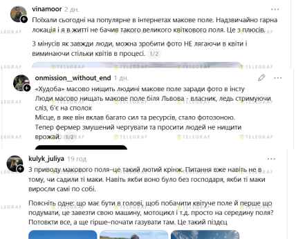 Сообщения в Treads о маковом поле