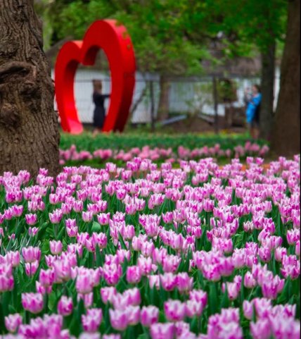 Дендропарк в Кропивницком