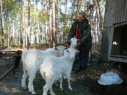 Лариса Ребристая и козы