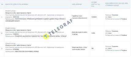 Декларація Алли Токмакової